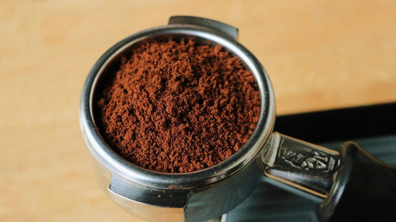 Cómo usar los posos de café para fertilizar tu jardín y césped de forma natural y efectiva