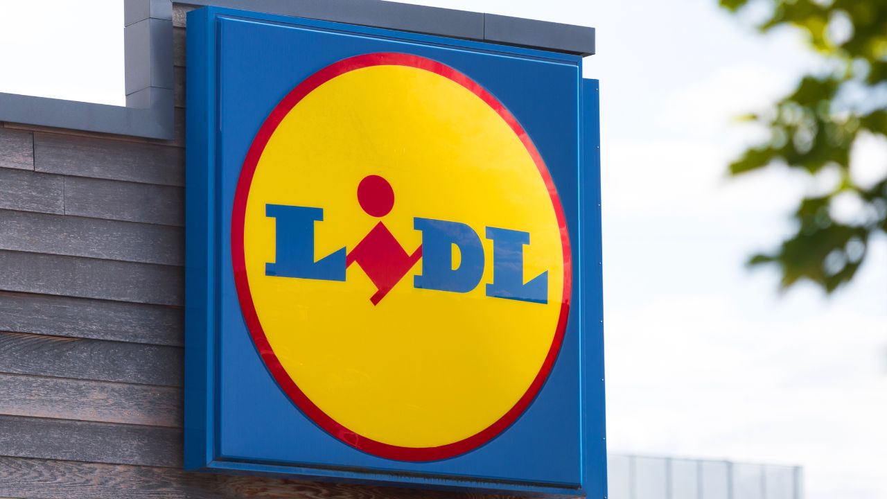 Plantas para interiores sin luz: Lidl presenta la solución decorativa y que no necesita tanta agua