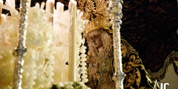 Yedra 1 1