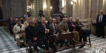 pleno toma horas 5963