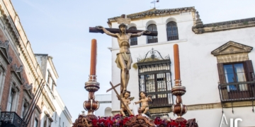 Perdon Domingo de Ramos 2017 5