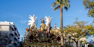Transporte Domingo de Ramos 2017 3