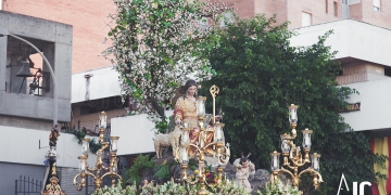 MG 2677 copia