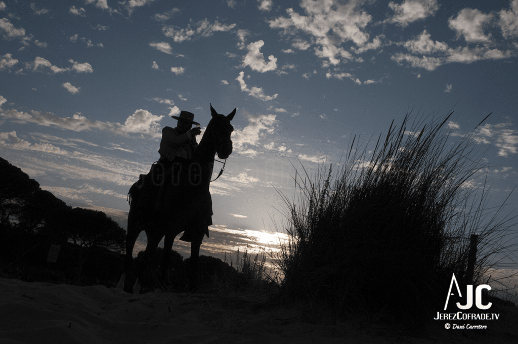 Calor, melancolía y familiaridad en la vuelta por Doñana D3S 6907