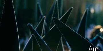 detallejavierromero2012