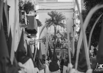 005 Domingo de Ramos 20172