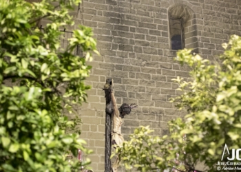 Via Crucis Cristo de las Almas Jerez 2020 7