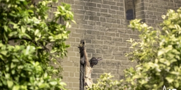 Via Crucis Cristo de las Almas Jerez 2020 7