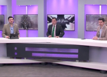 resumen ldp 2020