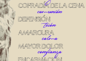 3695AC68 558D 4BB2 92E1 636375D0C00F 1140x560 1