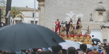 articulos 996089